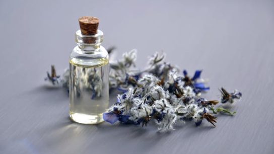 Ilustrasi harga parfum debut original